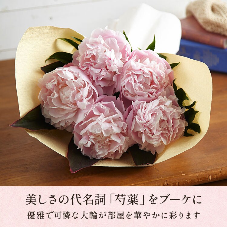大輪芍薬ブーケ ピンク ｜ 2026年 Oisix父の日ギフト特集