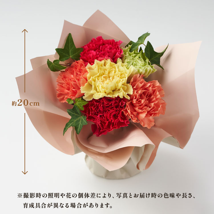 �X���C�_�[�摜2