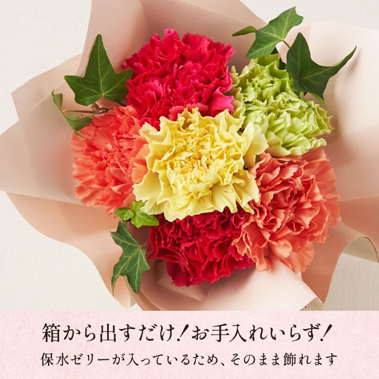 �X���C�_�[�摜4