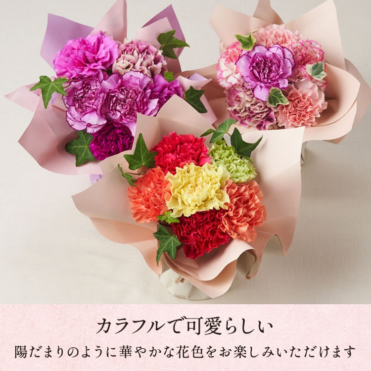�X���C�_�[�摜5