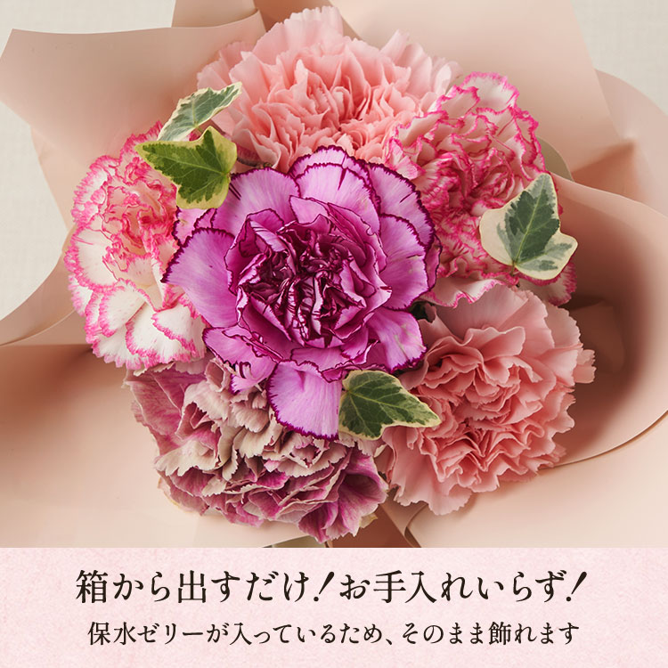 mv_4.jpg?date=20260224130730&