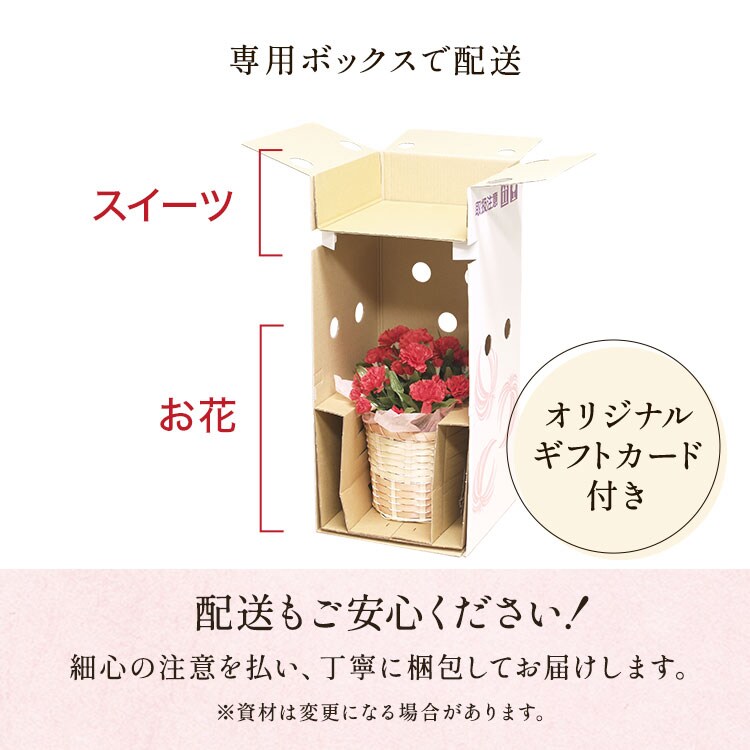 スタンディングブーケ ピンク 選べるギフトセット ｜ 2026年 Oisix父の