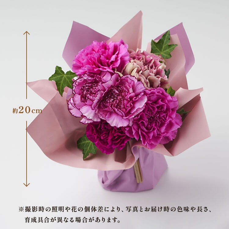 スタンディングブーケ パープル ｜ 2026年 Oisix父の日ギフト特集