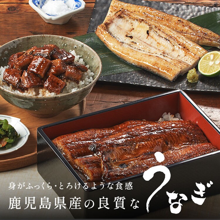 鹿児島産うなぎギフトセット ｜ 2026年 Oisix父の日ギフト特集