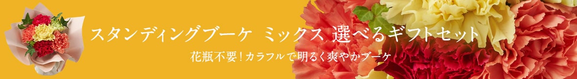 �X�^���f�B���O�u�[�P �~�b�N�X �I�ׂ�M�t�g�Z�b�g