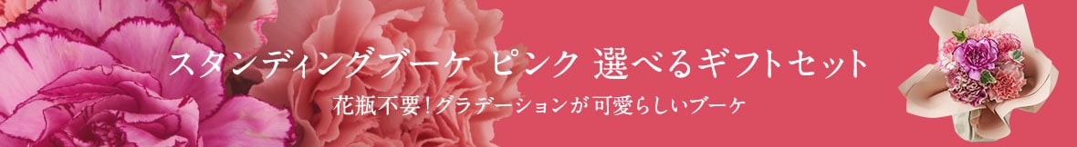 �X�^���f�B���O�u�[�P �s���N �I�ׂ�M�t�g�Z�b�g