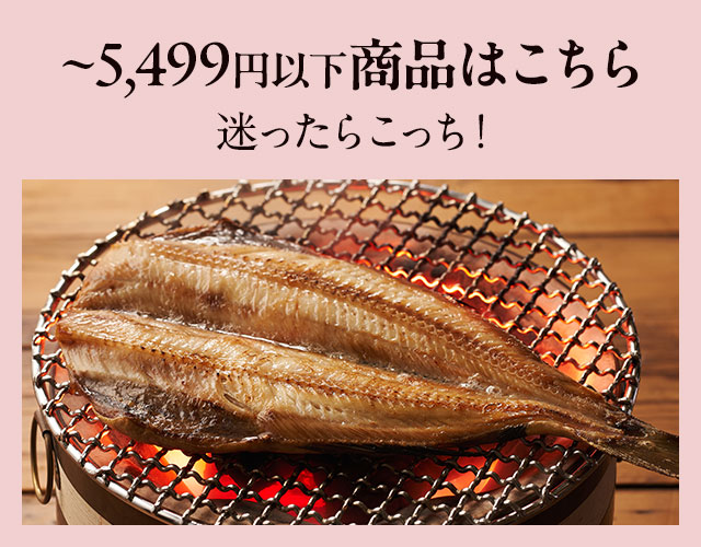 �������炱�����I?5,499�~�ȉ����i�͂�����