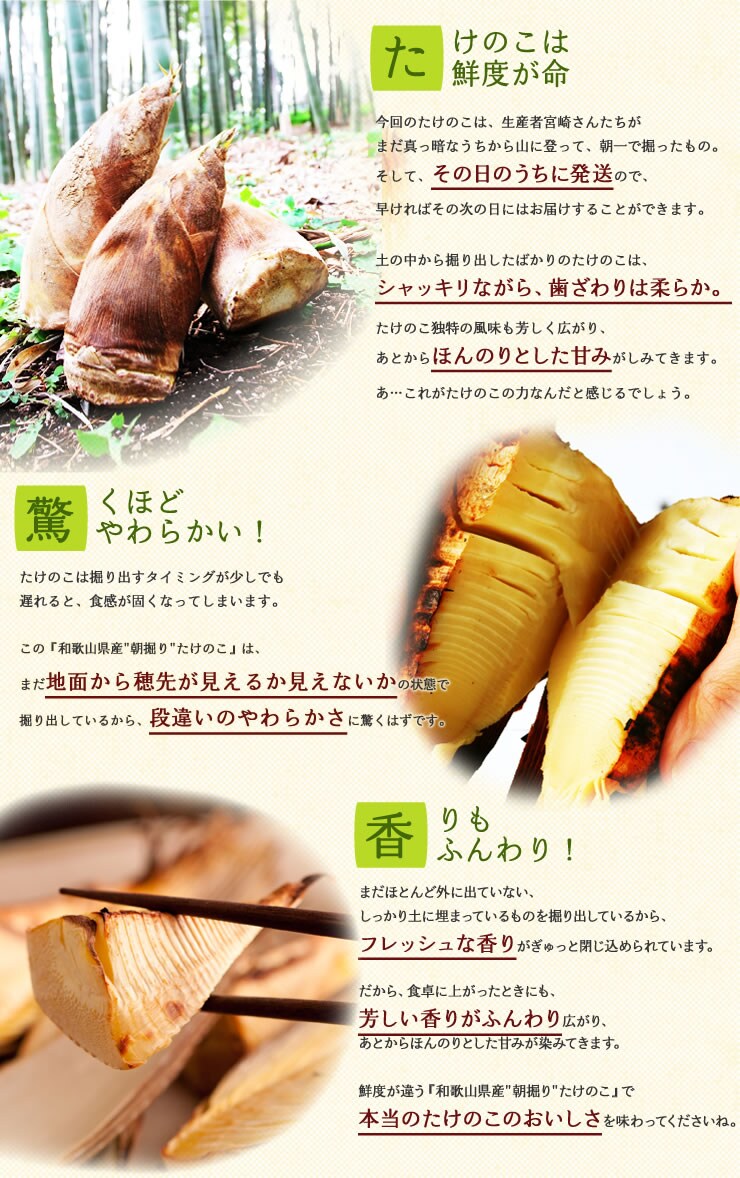朝堀直送たけのこ｜ Oisix産直おとりよせ市場｜ Oisix産直