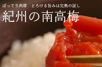 �I�B�̓썂�~