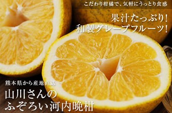 �R�삳��̂ӂ��낢�͓��ӊ�