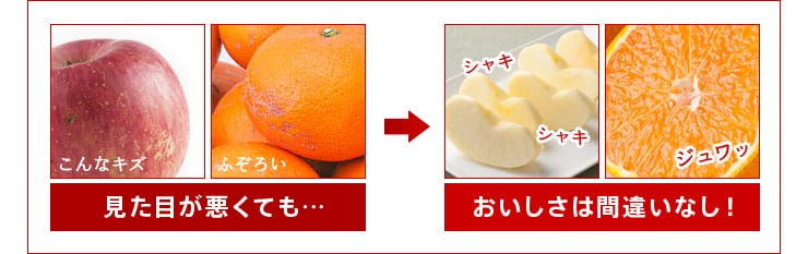 ���������͊ԈႢ�Ȃ��I