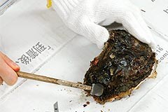 �܂��͋��ƂȂǂŊ���ڂ����Ă�������