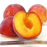�v�ÊԂ���̂�������X�����i�M�z�j1kg�O��
