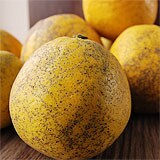 �R�삳��̂ӂ��낢�͓��ӊ� ��3kg