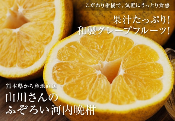 �R�삳��̂ӂ��낢�͓��ӊ�