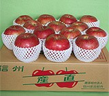 ��������̑����p�T���ӂ� ��3����