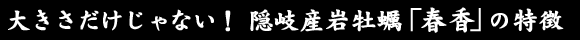 �傫����������Ȃ��I�B��Y�≲�y�u�t���v�̓���