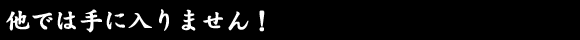 ���ł͎�ɓ���܂���I