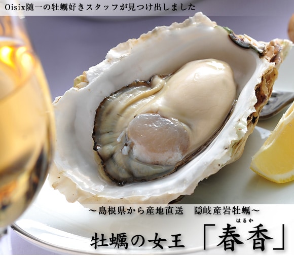 ����������g���y�̏����u�t���i�͂邩�j�v�h���Y�n�����I