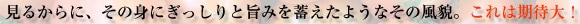 ���邩��ɁA���̐g�ɂ�������Ǝ|�݂�~�����悤�Ȃ��̕��e�B����͊��ґ�I