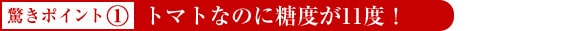 �����|�C���g1�@�g�}�g�Ȃ̂ɓ��x��11�x�I