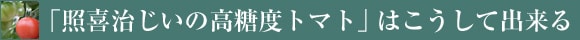 �u�Ɗ쎡�����̍����x�g�}�g�v�͂������ďo����