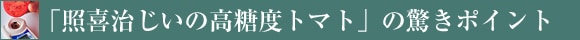 �u�Ɗ쎡�����̍����x�g�}�g�v�̋����|�C���g