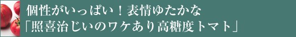 ���������ς��I�\��䂽���ȁu�Ɗ쎡�����̃��P���荂���x�g�}�g�v