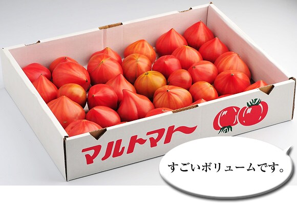 ���̗����A�Ɗ쎡��������A�g�}�g���ꔠ�͂��܂����B