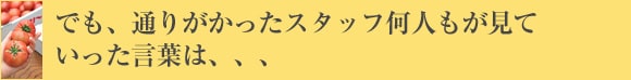 �ł��A�ʂ肪�������X�^�b�t���l�������Ă��������t�́A�A�A