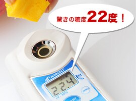 �����̓��x22�x