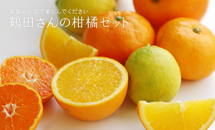 �F�{������g�ߓc����̊��k�Z�b�g�h���Y�n�����I