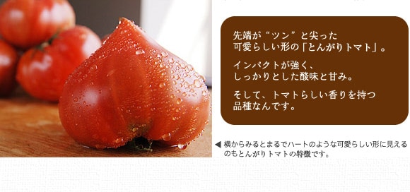 ��������Ƃ����_���ƊÂ݁A�����āA�g�}�g�炵������