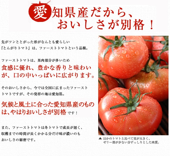���c���m���Y������A�����������ʊi�I