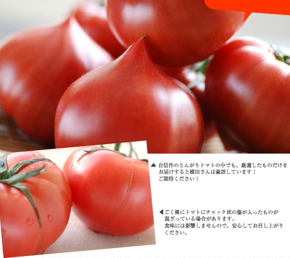 ����ɂ���ɁA�u�I�肷���肾�������͂����܂��I�v