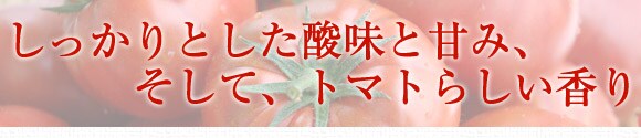 ��������Ƃ����_���ƊÂ݁A�����āA�g�}�g�炵������