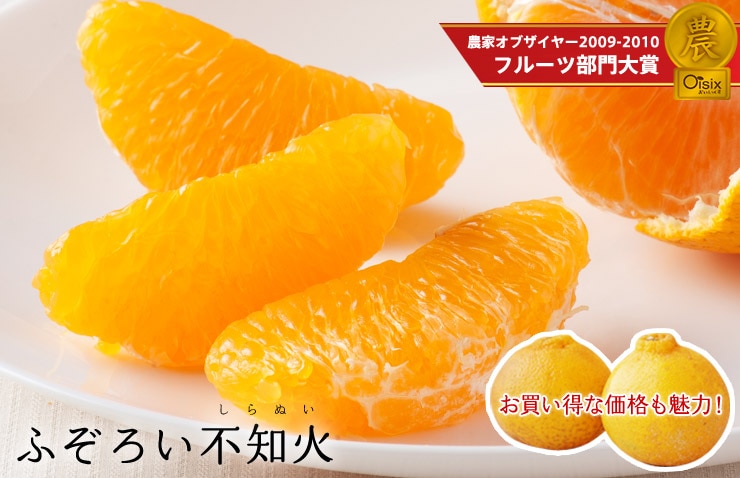 �F�{������g���c����̂ӂ��낢�s�m�΁i����ʂ��j�h���Y�n�����I