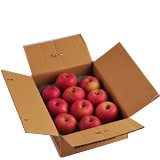 ��������̃��P���胊���S 12�����͂��u�ӂ��v(��3kg)