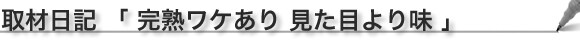 ��ޓ��L�u���n���P����@�����ڂ�薡�v