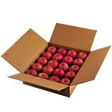 ��������̃��P���胊���S 12�����͂��u�ӂ��v(��5kg)