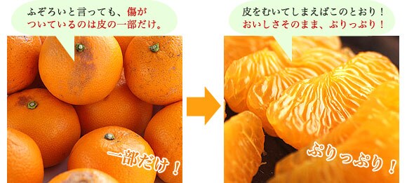 �����x���Q�̂����������i�I