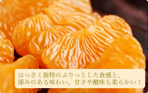 �͂������Ɠ��̂Ղ���Ƃ����H���ƁA�[�݂̂��閡�킢�B�Â���_�����_�炩���I