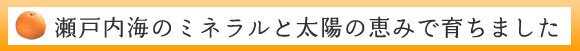 ���˓��C�̃~�l�����Ƒ��z�̌b�݂ň炿�܂���