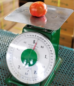 �����Ղ�130g�ȏ゠����̂��A���x9�x�ȏ�