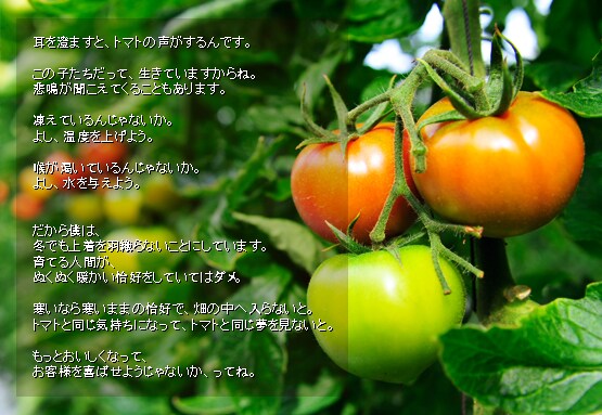 �����Ƃ��������Ȃ��Ă�낤�@�` �肳��͌�� �`