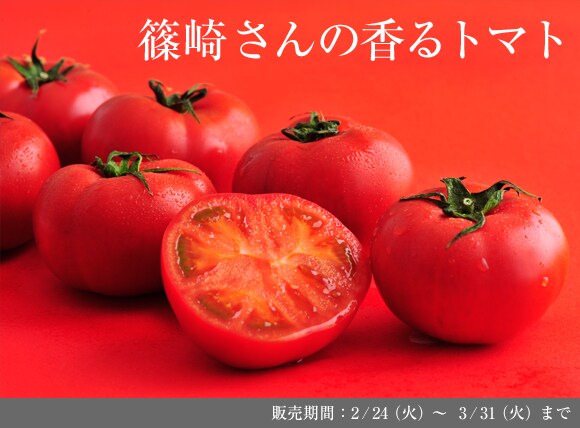 ��錧����g�肳��̍���g�}�g�h���Y�n�����I