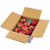 �Ђ傤�Q���P���� �����S�@��2.5kg