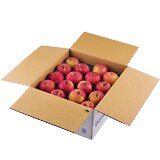 �Ђ傤�Q���P���� �����S�@��10kg