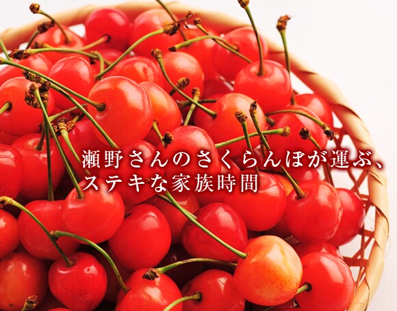�R�`������g���삳��̂������ځh���Y�n�����I