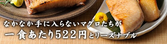 ���ꂾ�������āA����ς�3,129�~�Ȃ��Ȃ���ɓ���Ȃ��}�O����������H������522�~�ƃ��[�Y�i�u��